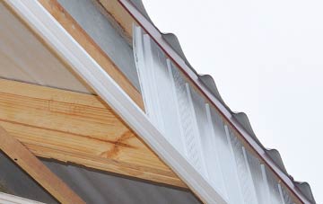 why West Grafton fascia repairs are essential