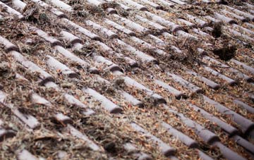 West Grafton roof cleaning companies