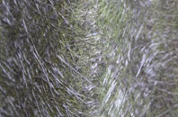 West Grafton fibreglass roof work